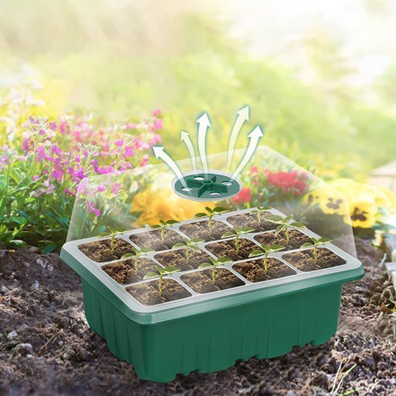 Kasa Do Sadzonek Z Pokrywą I 12 Komorami – Mini Szklarnia