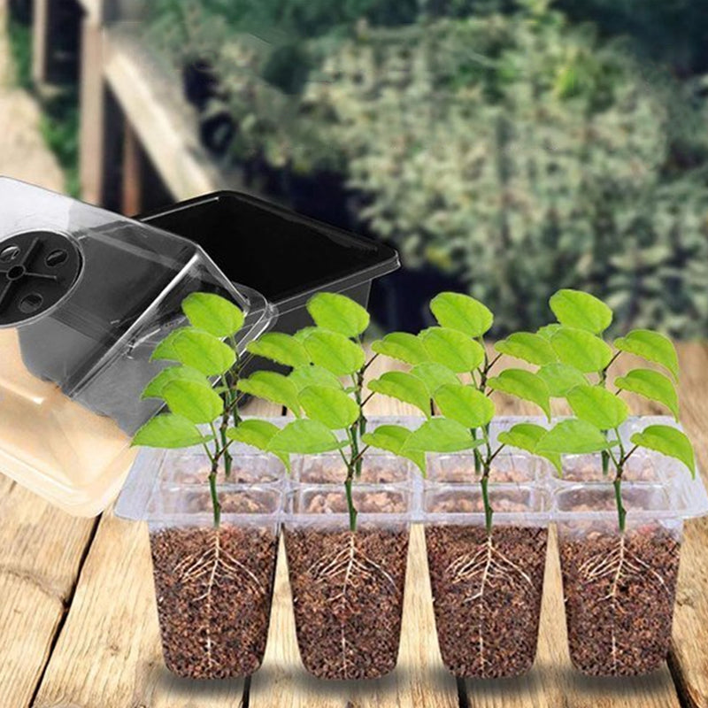 Kasa Do Sadzonek Z Pokrywą I 12 Komorami – Mini Szklarnia