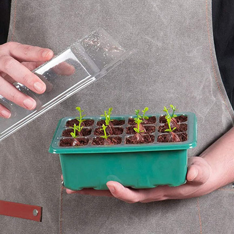 Kasa Do Sadzonek Z Pokrywą I 12 Komorami – Mini Szklarnia