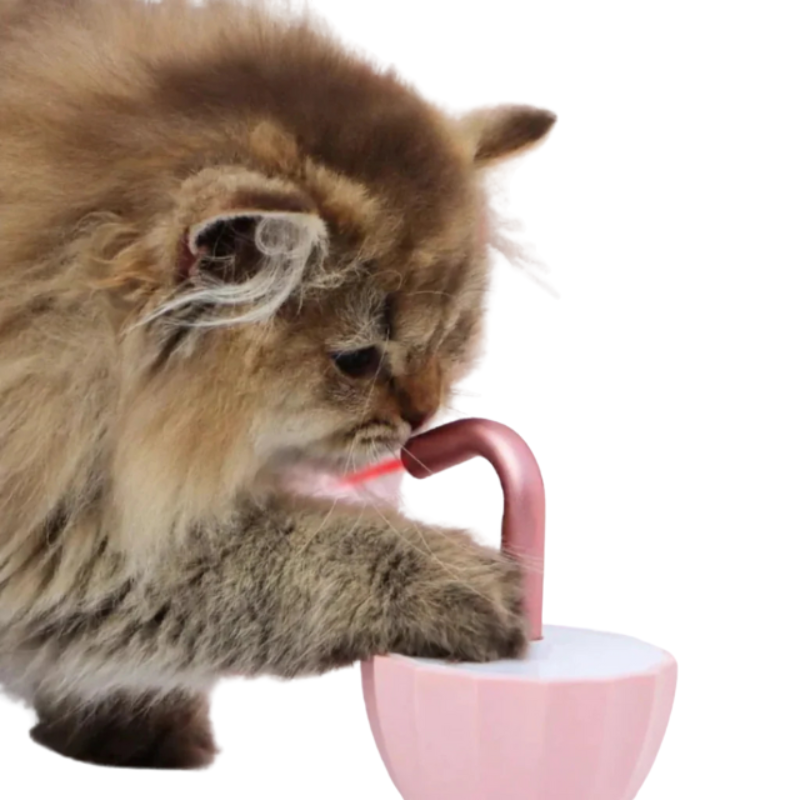 KittyBeam - Zabawka Laserowa dla Kota z LED