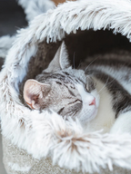 Catfri – CozyCat Kocia Kula do Odpoczynku i Relaksu