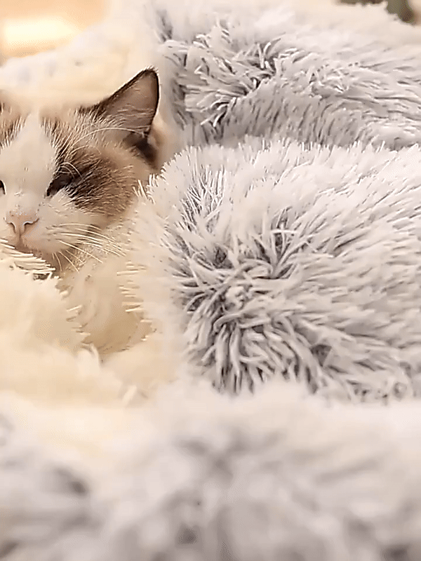 CozyCave - Kanapa dla Kota i Psa z Kapturem