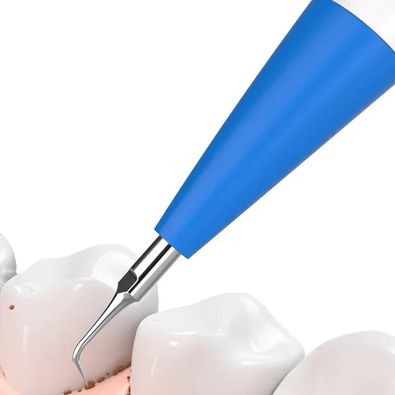 Elektryczna szczoteczka do pielęgnacji zębów dla psów