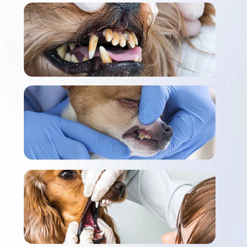 Elektryczna szczoteczka do pielęgnacji zębów dla psów